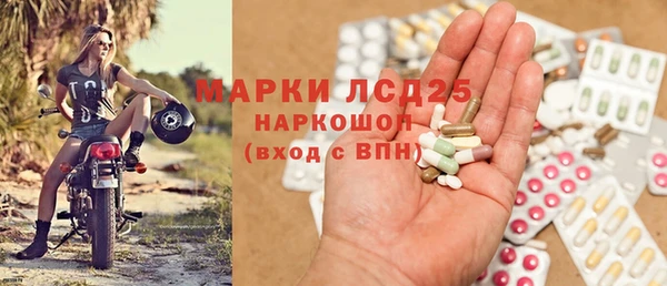 PSILOCYBIN Кедровый