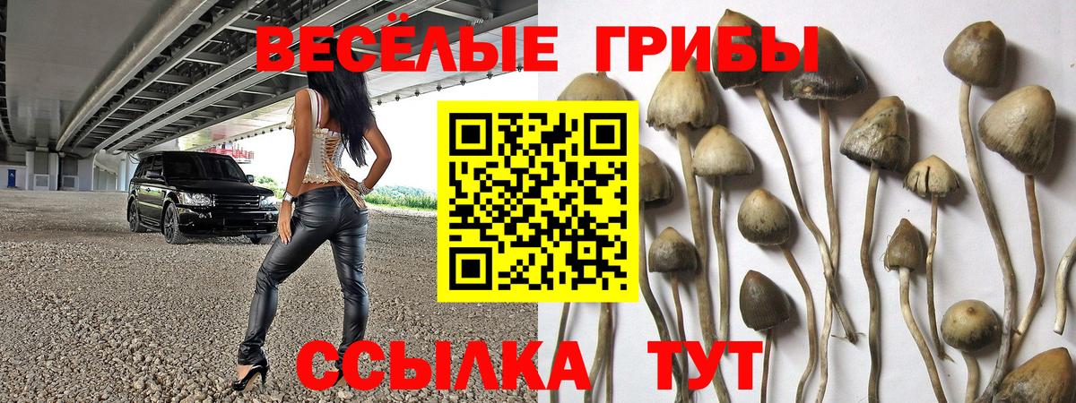 Галлюциногенные грибы ЛСД  Вход с VPN  Боровичи 