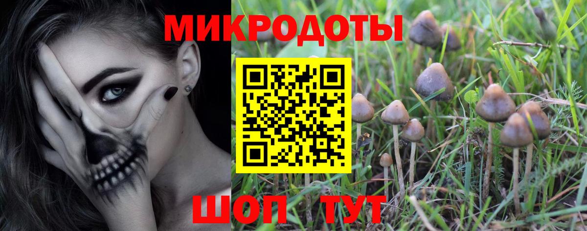 Галлюциногенные грибы Psilocybine cubensis Боровичи