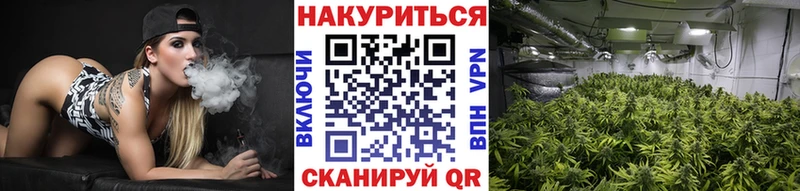 Марихуана семена  Боровичи 